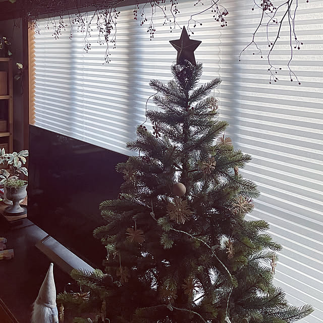 marucoさんの実例写真