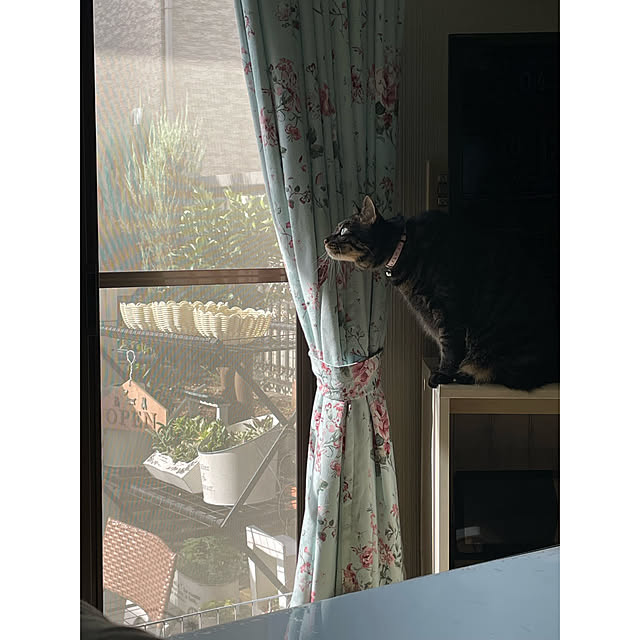momocchiさんの実例写真