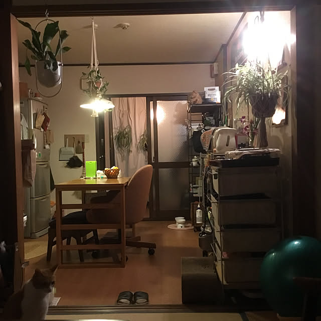 tamaさんの実例写真