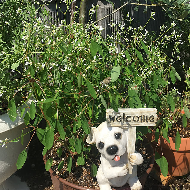 nanachanmamaさんの実例写真