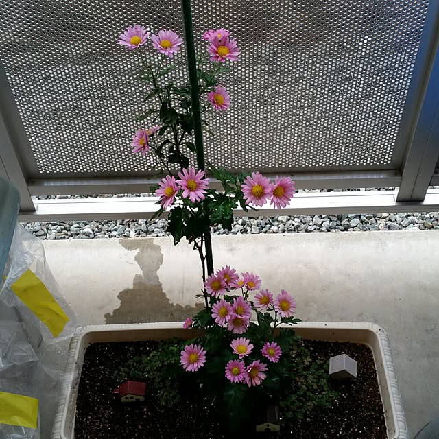 M.Sさんの実例写真
