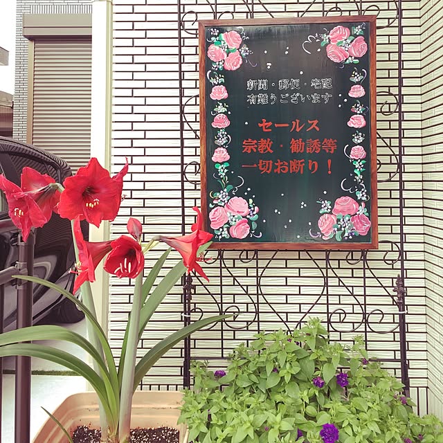 nonさんの実例写真