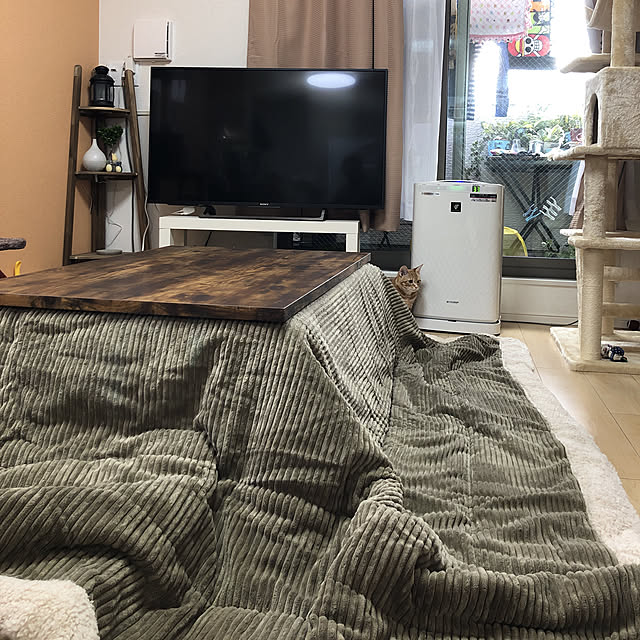 gori165さんの実例写真