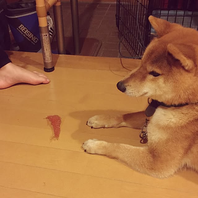 luckyさんの実例写真