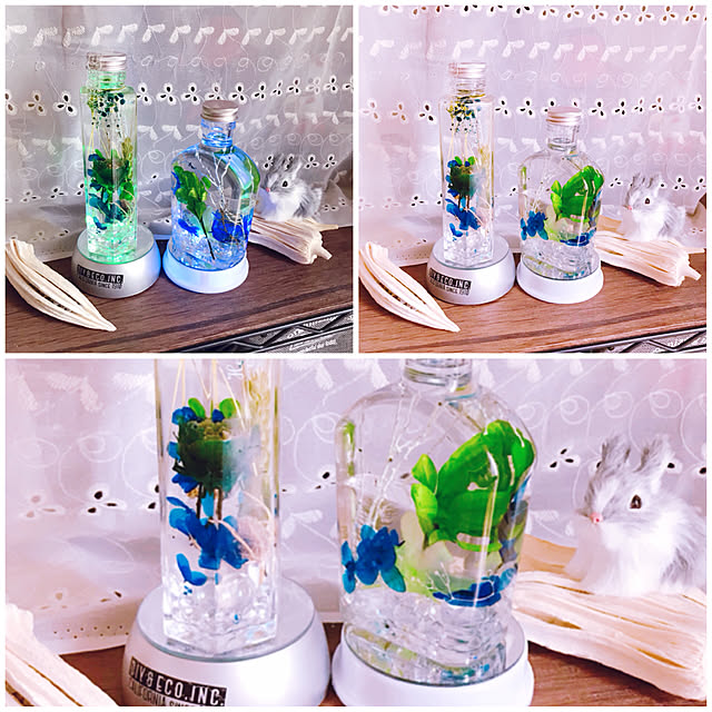 portulacaさんの実例写真