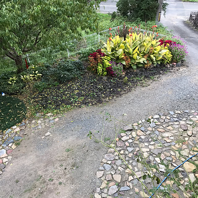 pepeさんの実例写真
