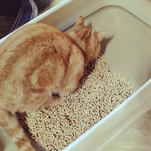 runaさんの部屋