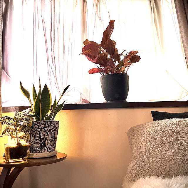 coopers01さんの実例写真