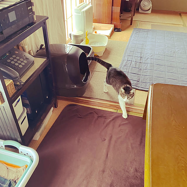 nanohanaさんの実例写真