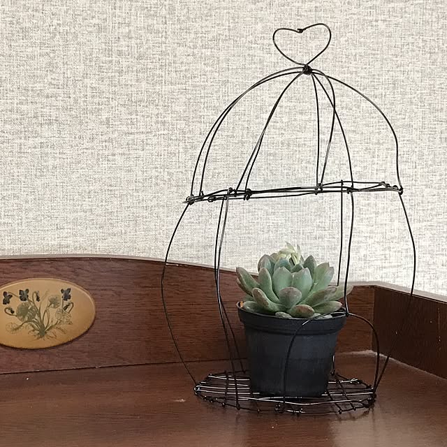 kokko3さんの実例写真