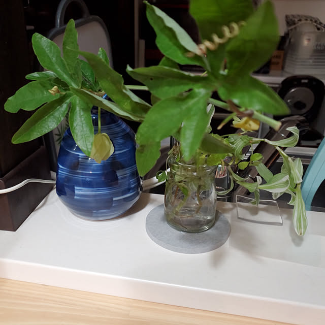 korokoroさんの実例写真