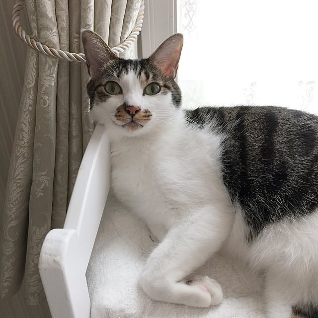 yuchiさんの実例写真