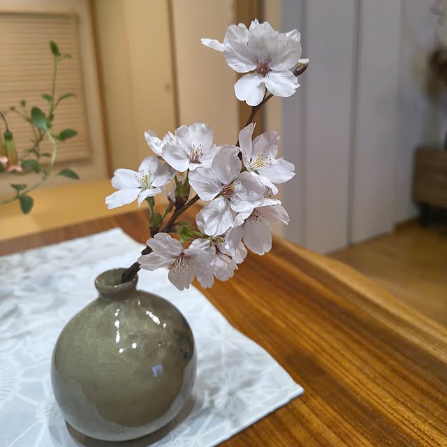 Rubiconさんの実例写真