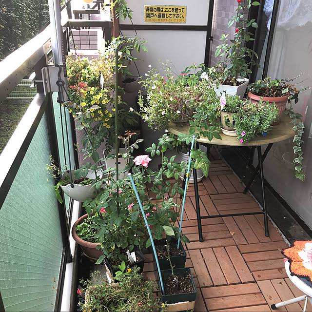 Mihokoさんの実例写真