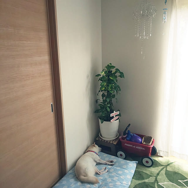 mmpoohさんの実例写真