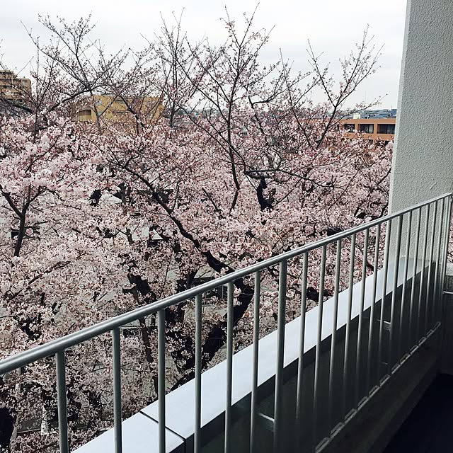 hiliteさんの実例写真