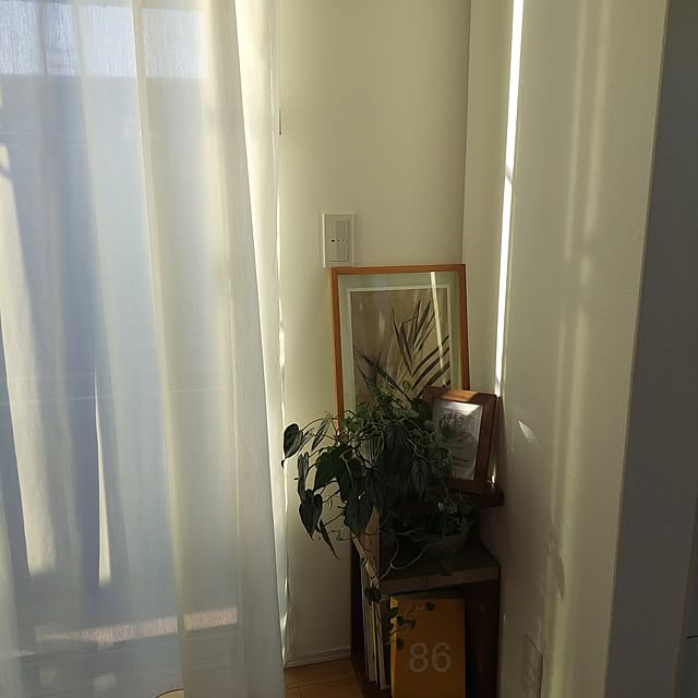 anmomaruさんの部屋