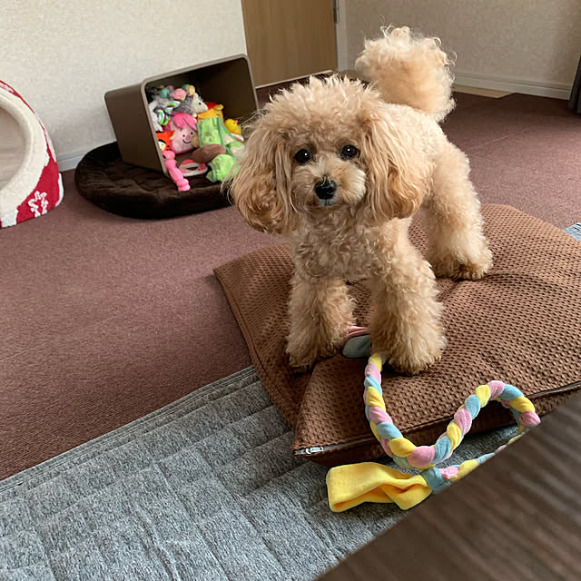 ROSEさんの実例写真