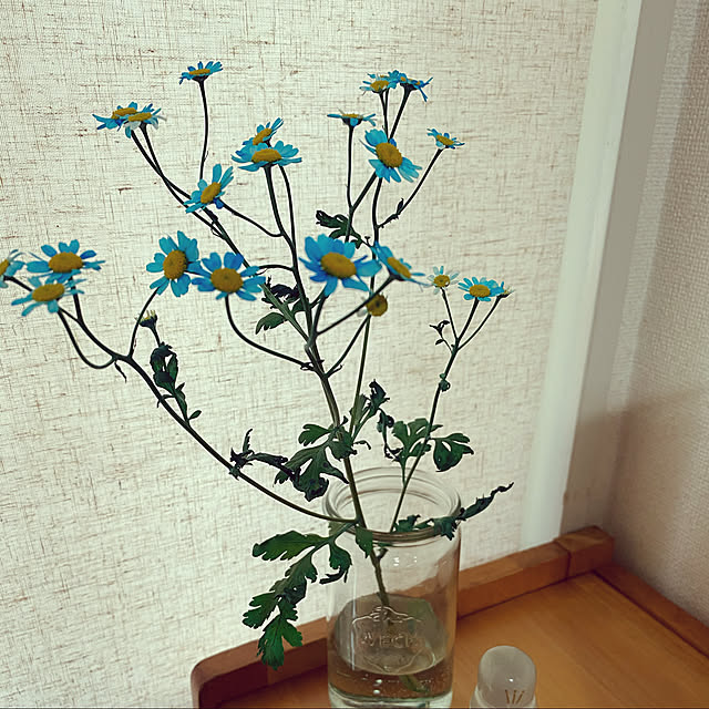 Suzu.のWECK-ストレートシェイプ 340ml 12個セット WECK マークスインターナショナル WE-975の家具・インテリア写真