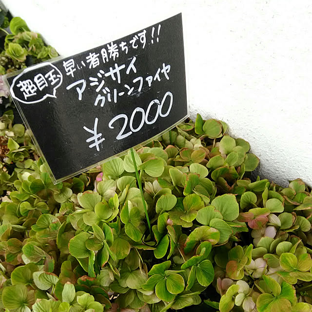 showさんの実例写真