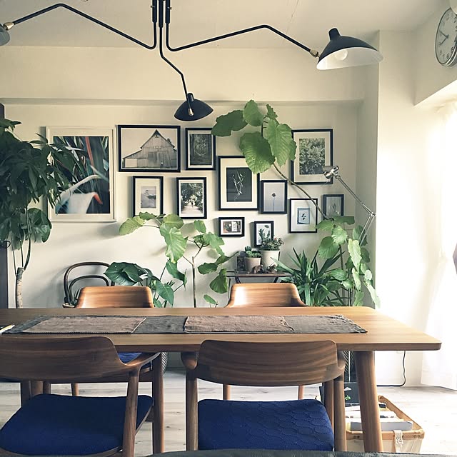 Kenjiさんの実例写真