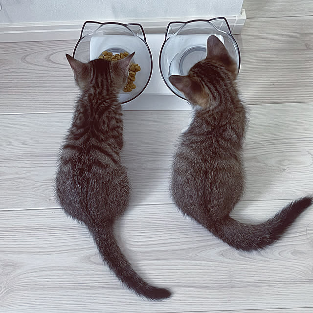 uranさんの実例写真