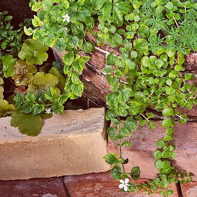 mocomocoさんの部屋