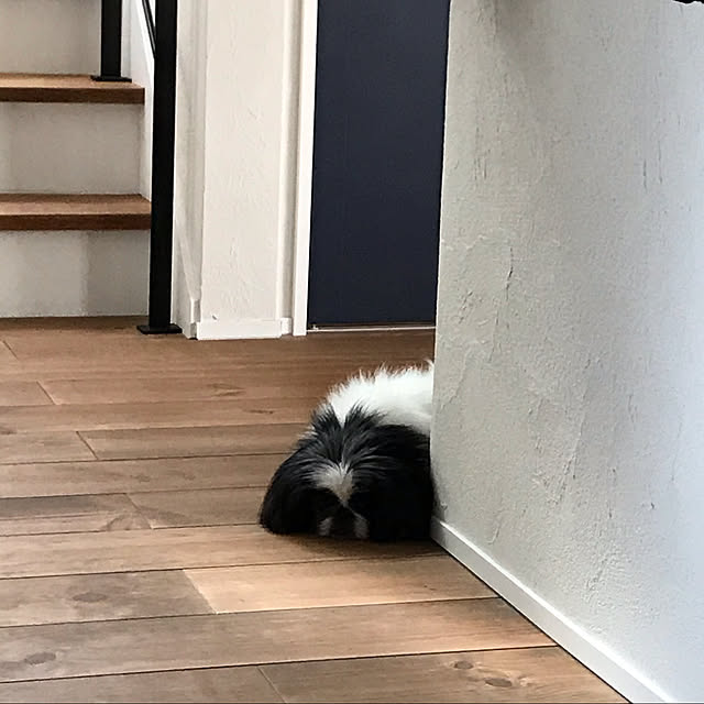 rinaさんの実例写真