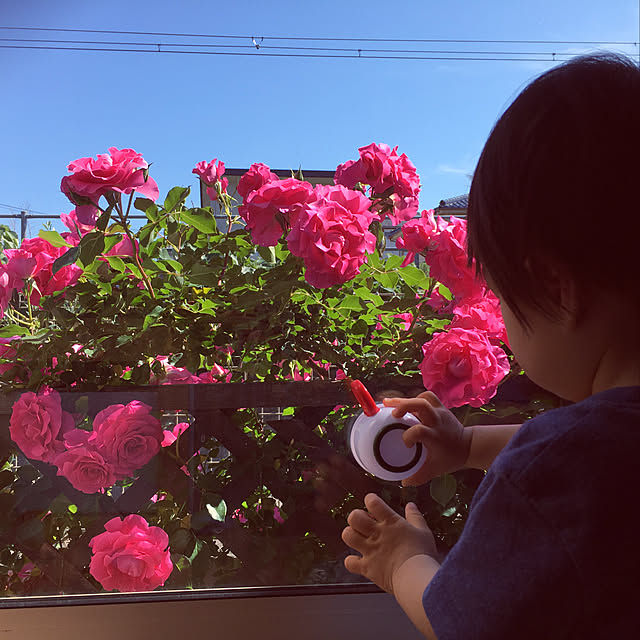 so_nyanさんの実例写真