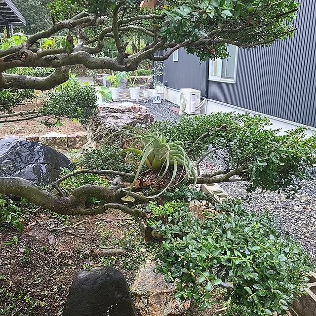 Rubiconさんの部屋