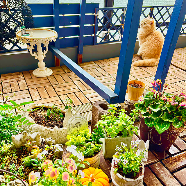 naokoさんの部屋