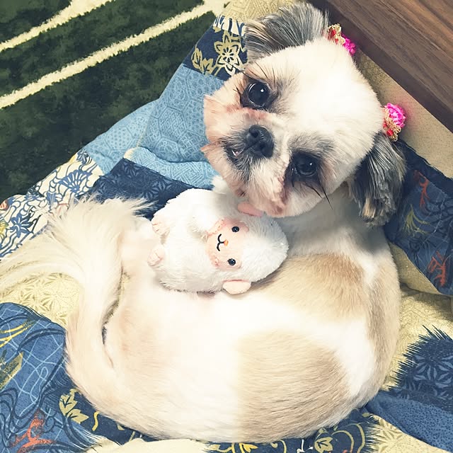 Kanamiさんの実例写真