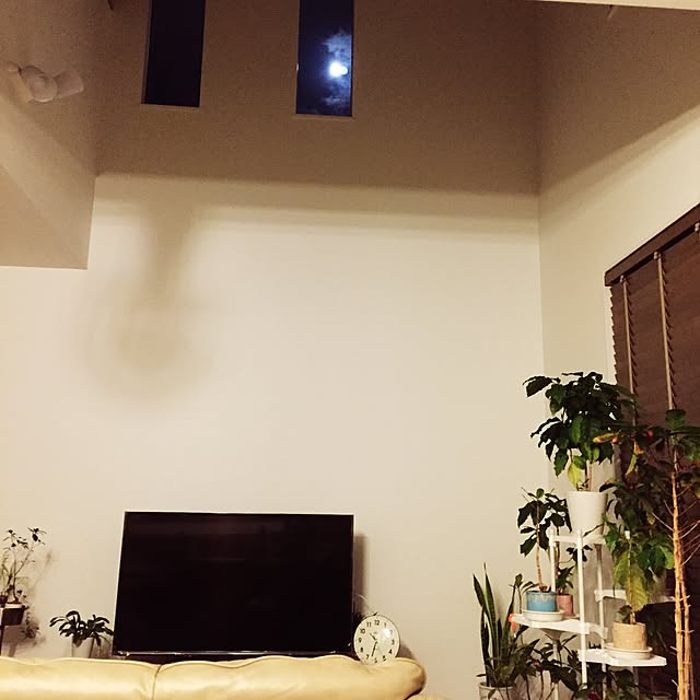 naoto toroさんの実例写真