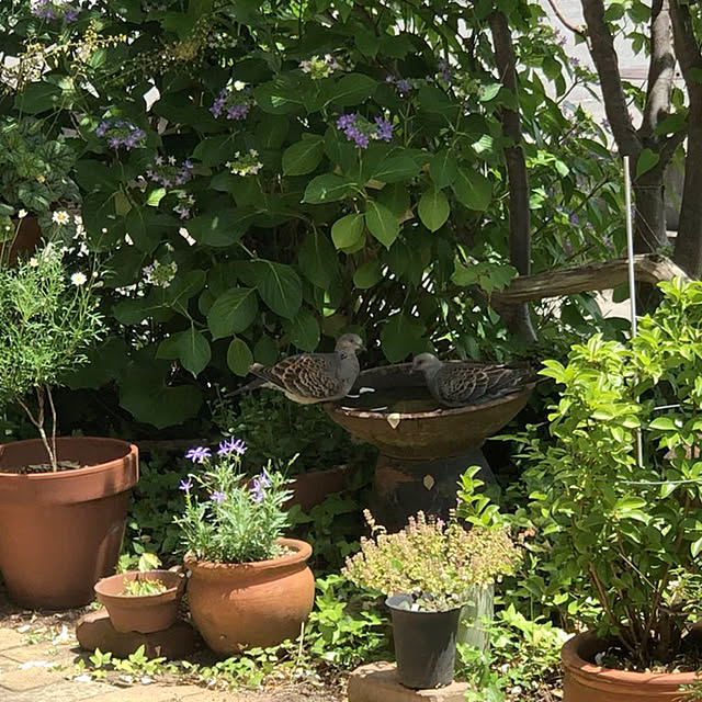hideさんの実例写真