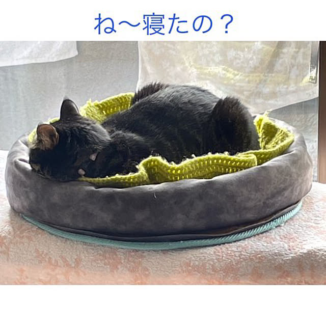 momocchiさんの実例写真