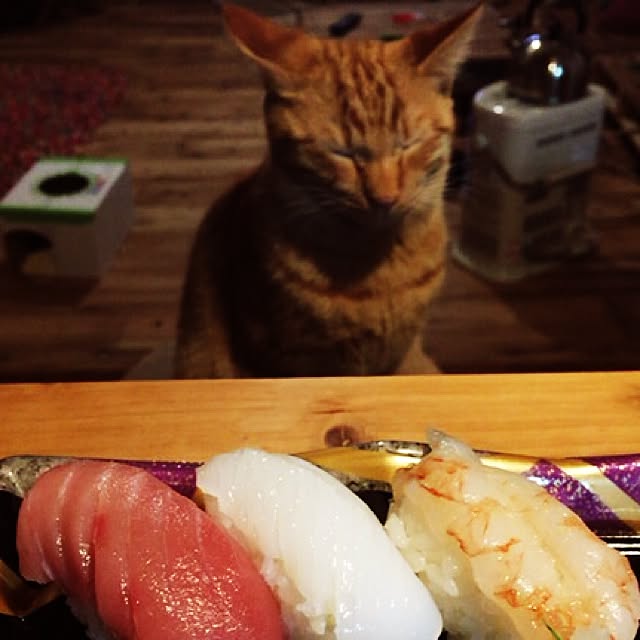sumisumiさんの実例写真
