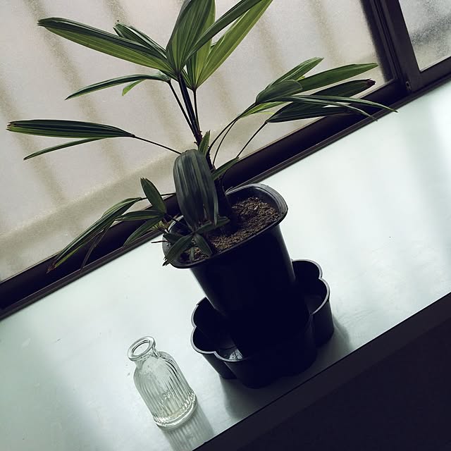emiさんの実例写真