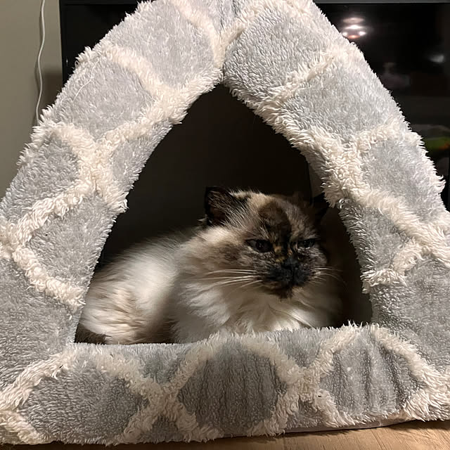 kamomeさんの部屋