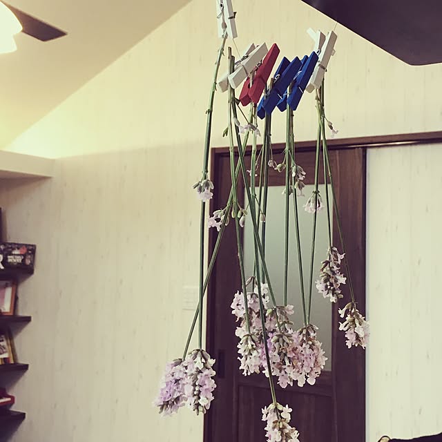eringo921さんの実例写真