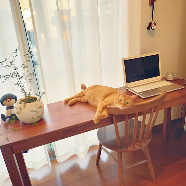 naru-HOMEさんの実例写真