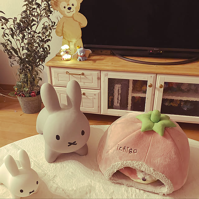 hisamanchanさんの実例写真