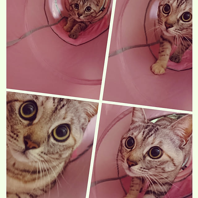 ranranさんの実例写真