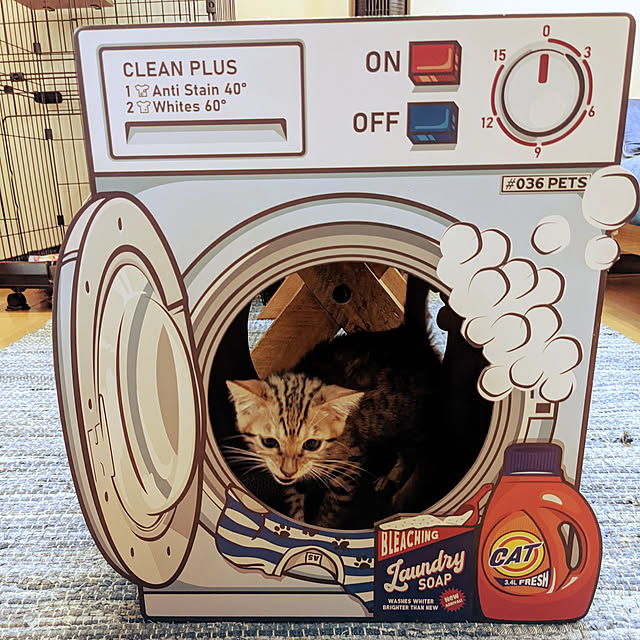 aireiさんの実例写真
