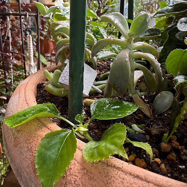 Aqettyさんの部屋