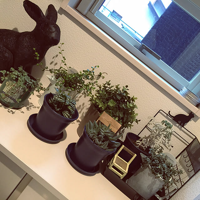 Maikoさんの実例写真
