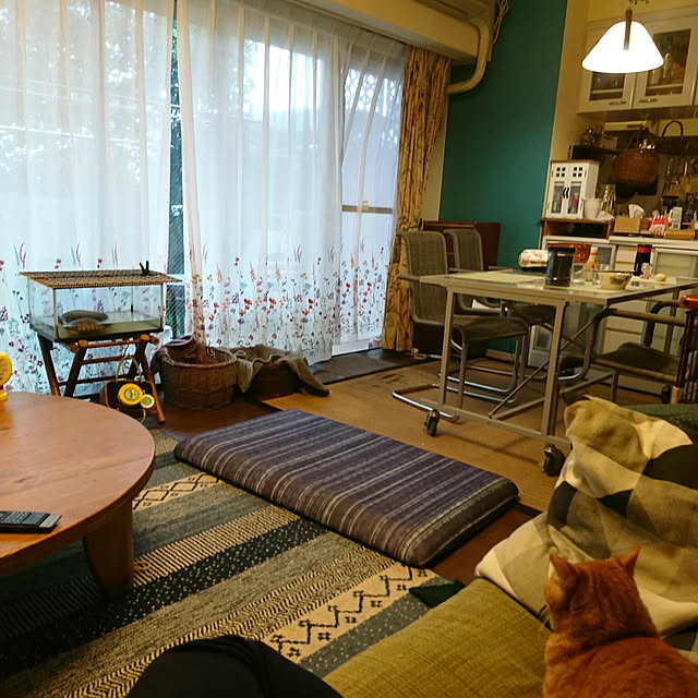 okyosan101さんの実例写真