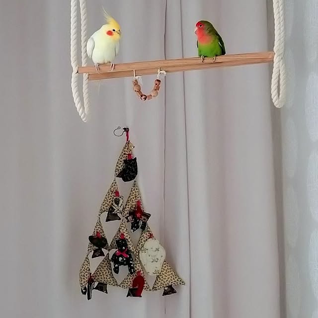 toratanさんの実例写真