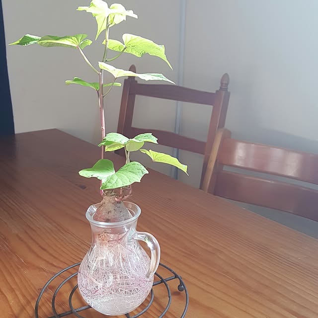 okkunさんの実例写真