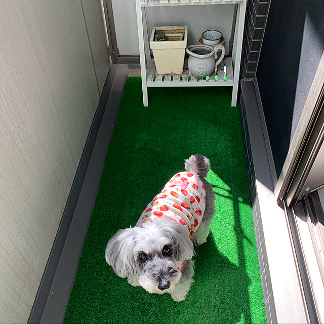 nontanさんの実例写真