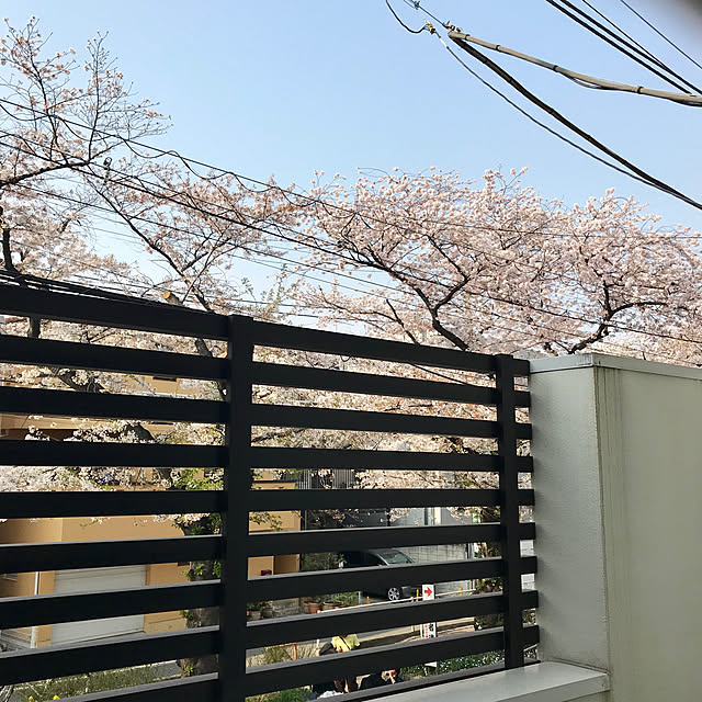kaedeさんの実例写真
